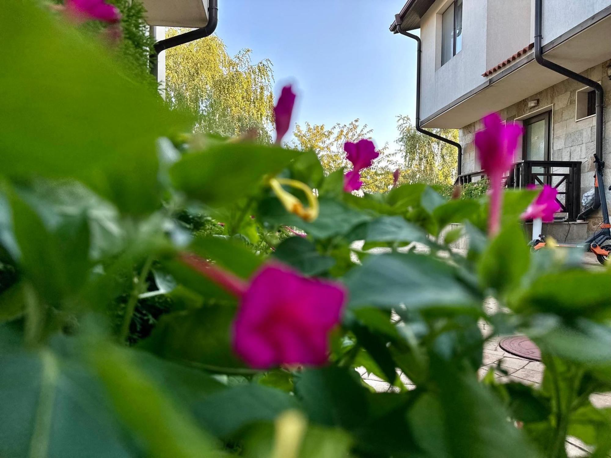 Menada Imperial Heights Villas Sunny Beach Esterno foto